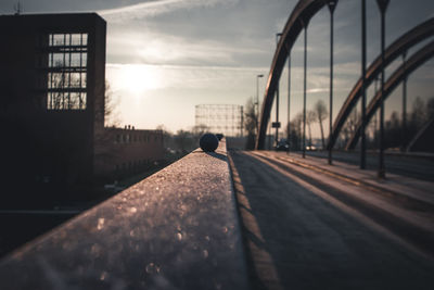 Man in city against sky during sunset