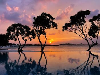 Silhouette trees by lake and swimming pool against sky at sunset