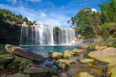 Scenic view of waterfall in forest