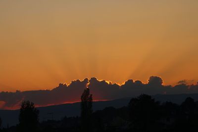 Silhouette trees against dramatic sky during sunset