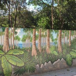 Trees growing in a park