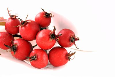 Close-up of wet tomatoes against white background