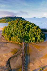 High angle view of trees on landscape against sky