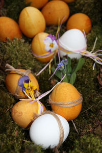 High angle view of easter eggs on grassy field