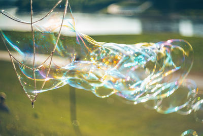 Close-up of bubbles in water