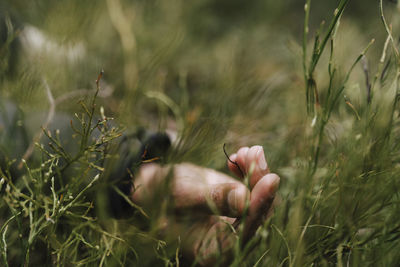 Cropped hand of man touching grass in forest