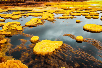 High angle view of rocks in lake