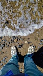 Low section of man standing on beach