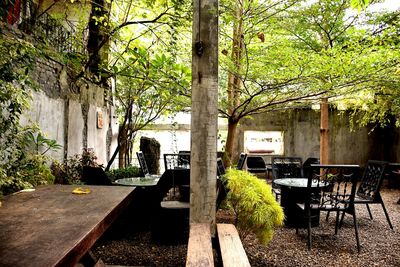 Chairs and trees in park