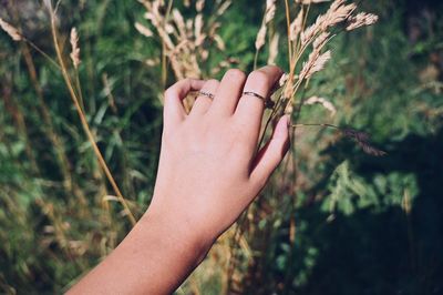 Midsection of person holding plant