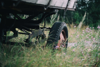 Wagon amidst plants on field