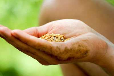 Close-up of man hand holding food outdoors