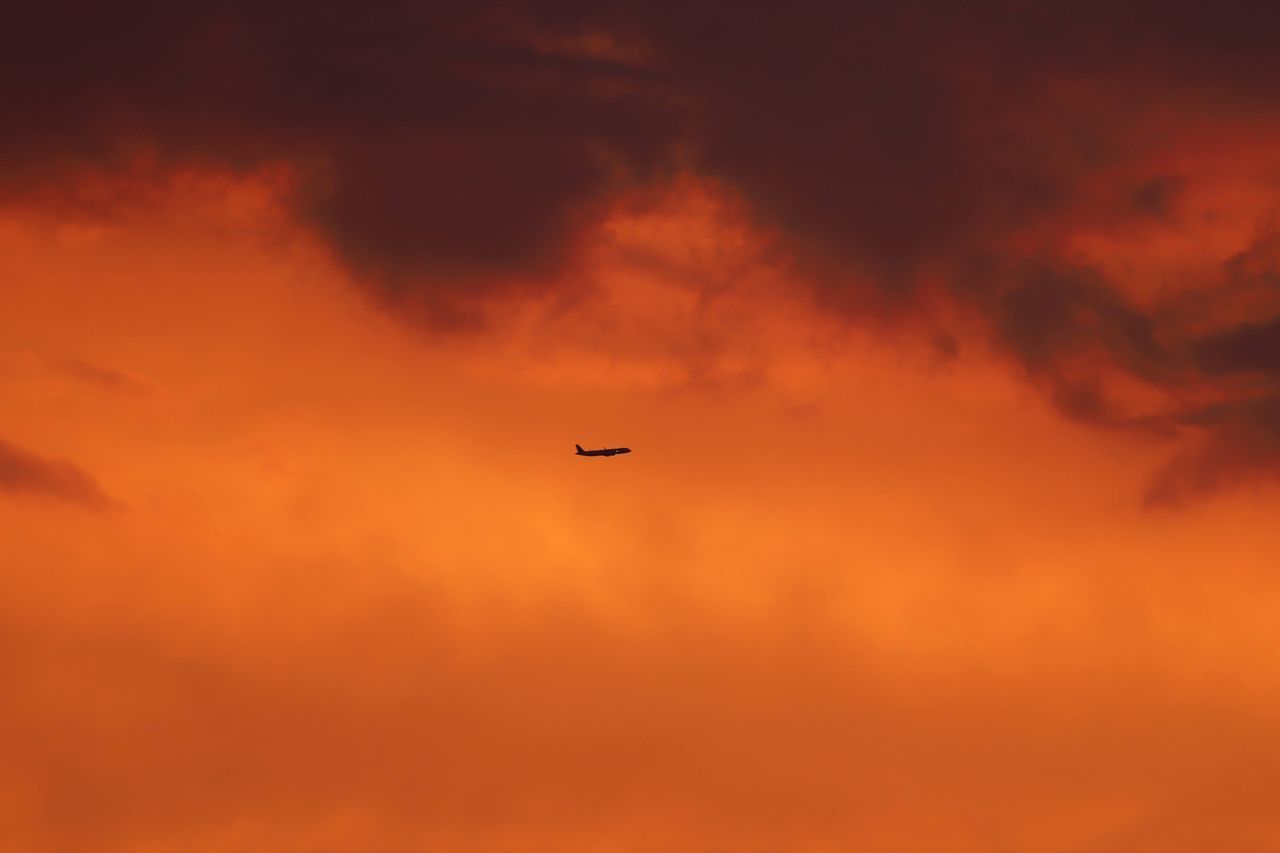 LOW ANGLE VIEW OF SILHOUETTE AIRPLANE FLYING AGAINST ORANGE SKY