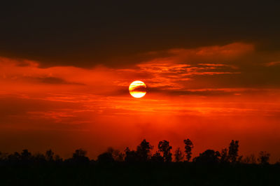 Silhouette trees against romantic sky at sunset