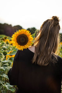 Midsection of woman standing by sunflower against sky
