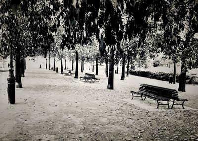 Empty chairs in park