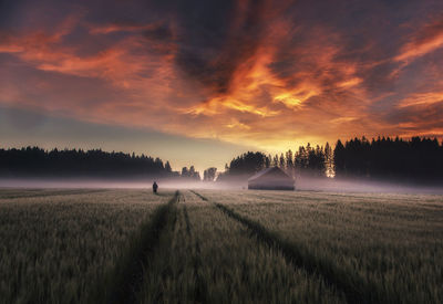Barn on field against cloudy sky in foggy weather during sunset