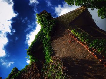 Low angle view of trees against sky