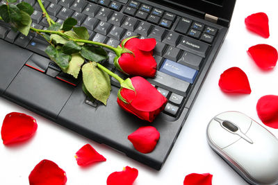 High angle view of red roses on laptop