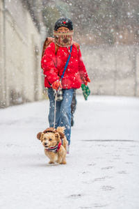 Person walking with dog during snowfall