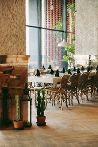 Potted plants on table in cafe