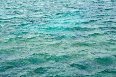 Waves on the surface of the turquoise tropical sea.