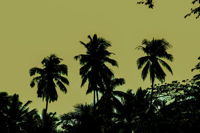 Low angle view of silhouette trees against sky during sunset