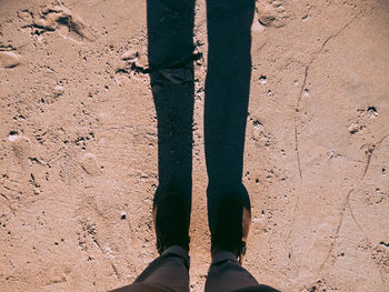 Low section of man standing on beach