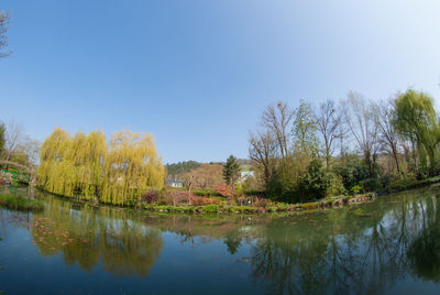 Reflection of trees in lake against clear sky