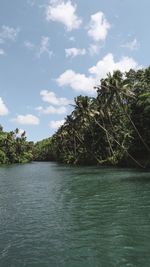 Scenic view of sea and trees against sky