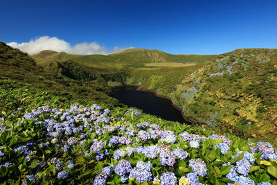 Scenic view of blue and mountains against sky