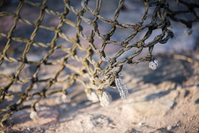 Close-up of sports net