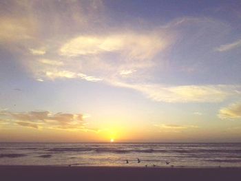Scenic view of beach during sunset