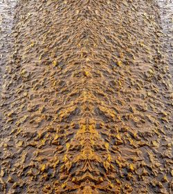 Full frame shot of rippled water