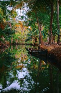 Scenic view of lake in forest