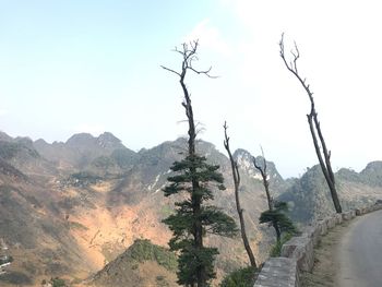 Scenic view of landscape against clear sky