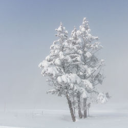snow