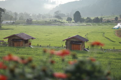 House on field against trees and houses