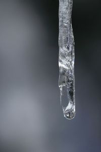 Close-up of icicles against white background