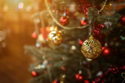 Close-up of christmas tree
