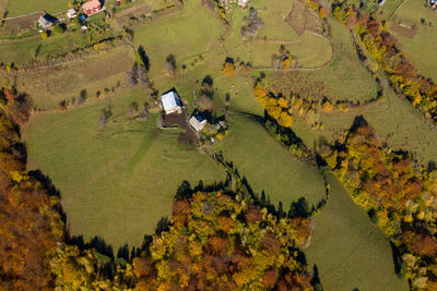 Aerial view of a small countryside homestead and colorful autumn forest. drone point of view