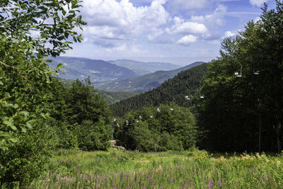 Scenic view of landscape against sky