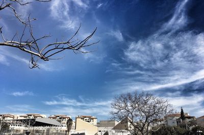 Low angle view of tree against sky