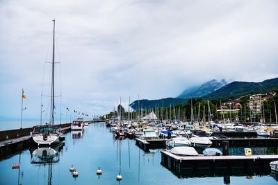 Boats moored in harbor