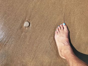 Low section of woman on shore at beach