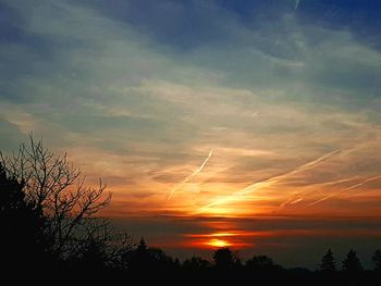 Low angle view of silhouette trees against sky during sunset