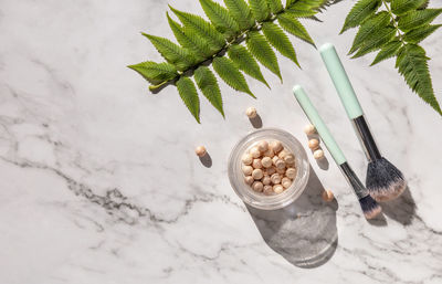 High angle view of potted plant on table