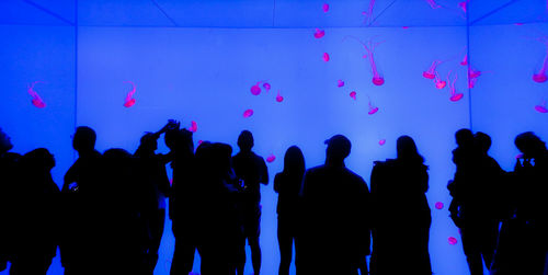 Silhouette of people at concert