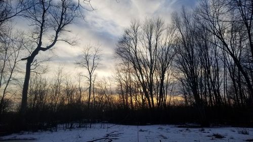 Bare trees on snow covered field against sky