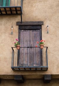 Flower pots on wood